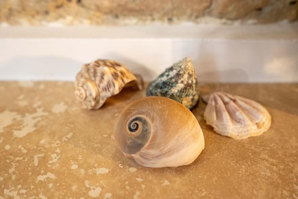 Appartamento L'Antica Voltina Nettuno Esterno foto